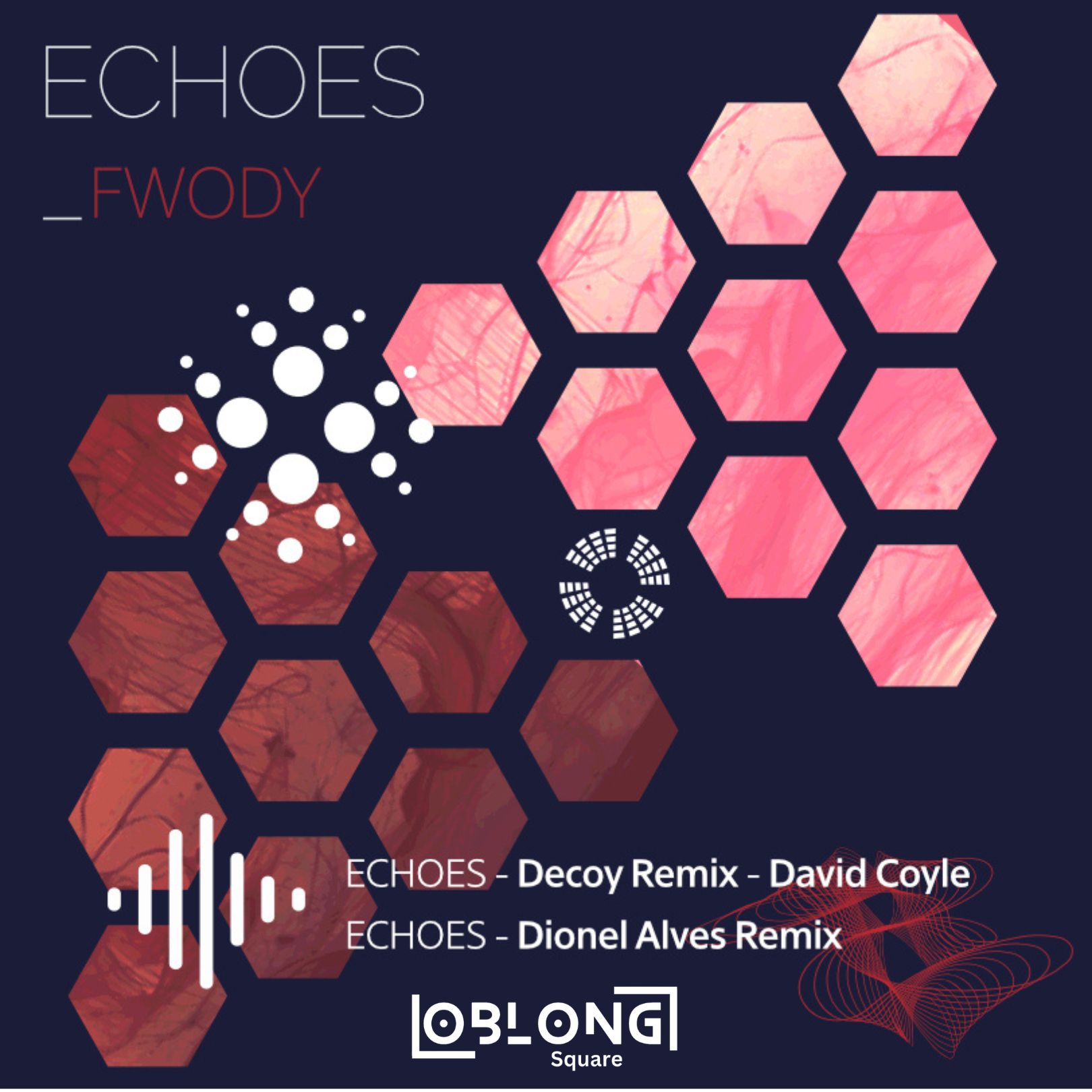 Echoes (Decoy Remix) cover art